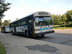 CIMG0988.JPG