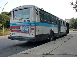CIMG0989.JPG
