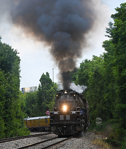 261531.jpg