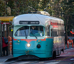 265459.jpg