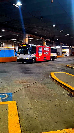 20260829_064742.jpg